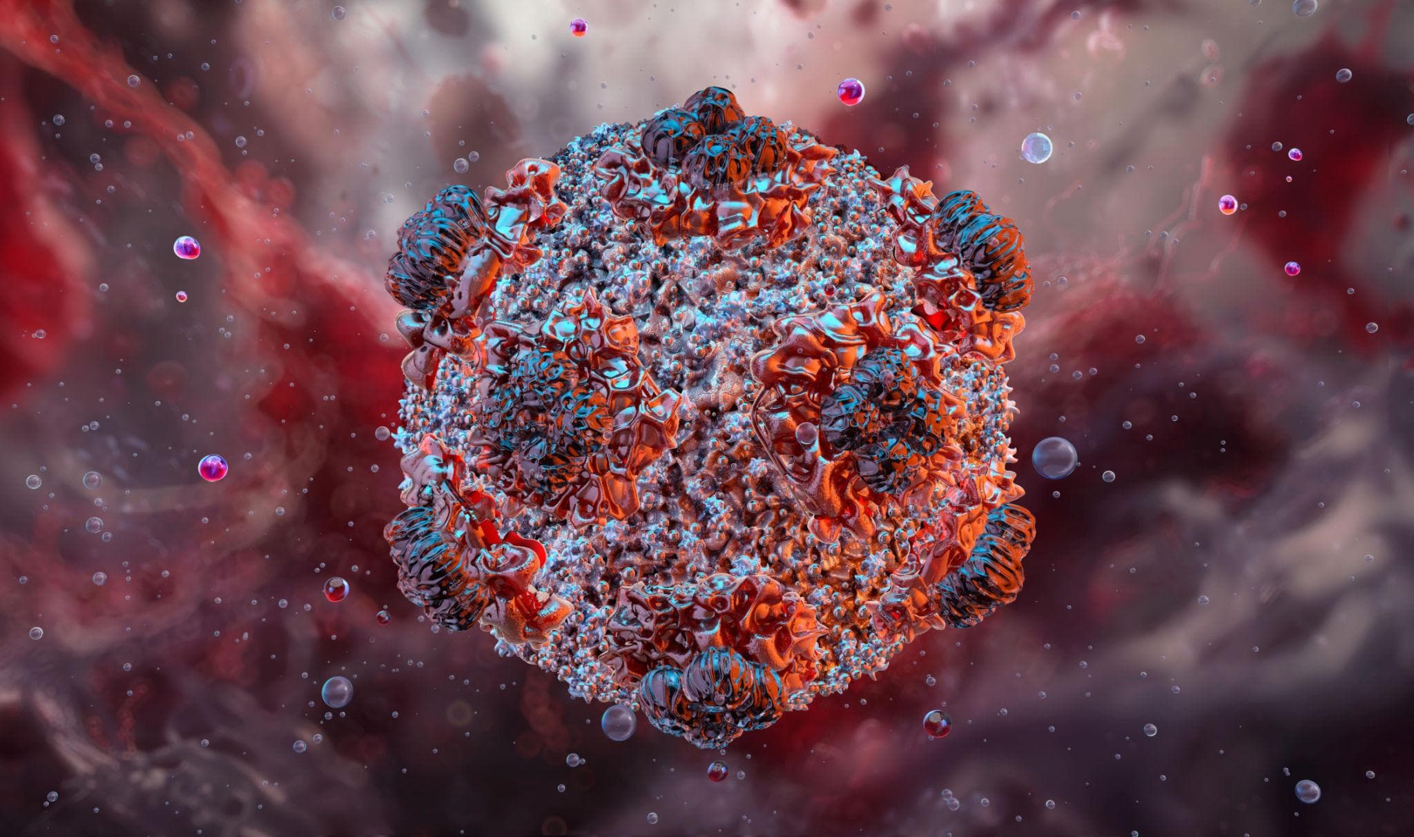 Was ist das Andesvirus und wie gefährlich ist es wirklich?
